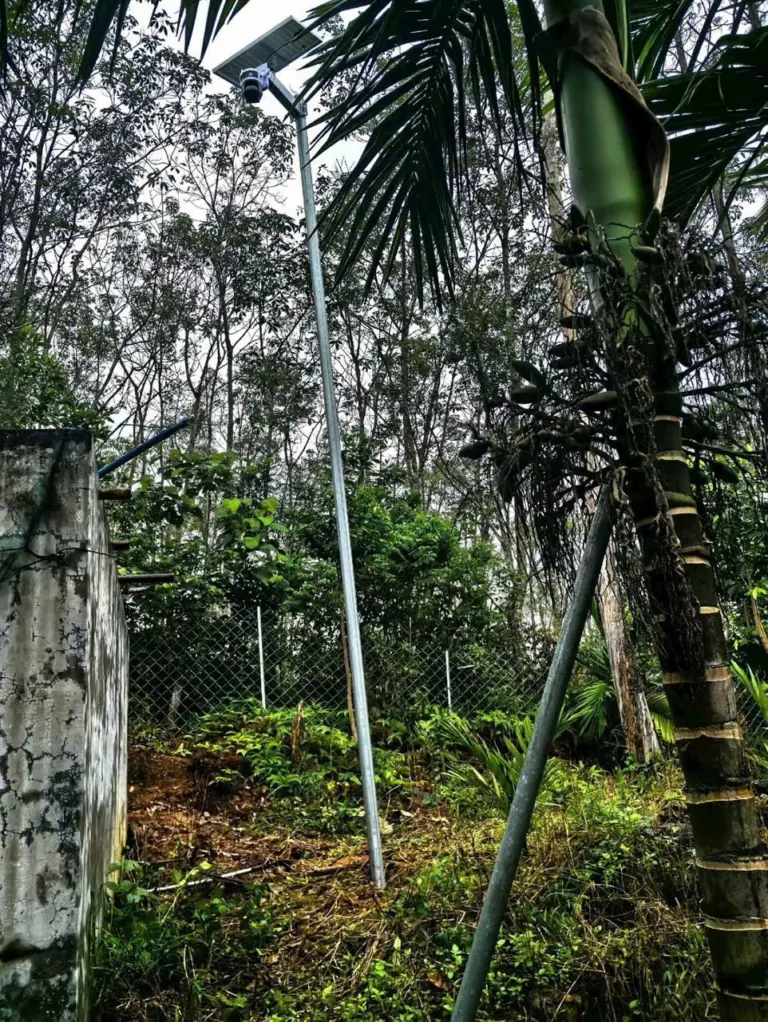 Lắp camera năng lượng mặt trời cho trang trại