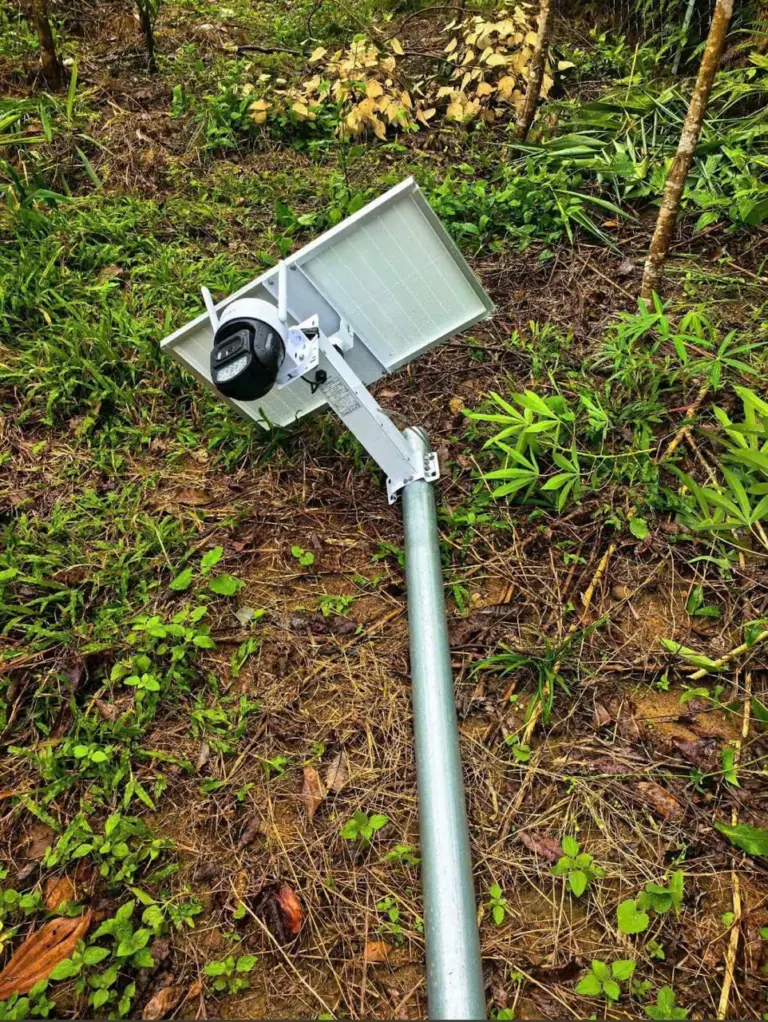 Lắp camera năng lượng mặt trời cho trang trại