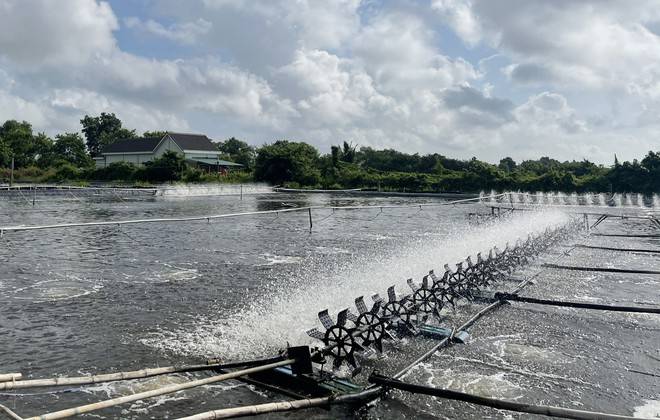 Camera solar tầm xa cho ao hồ diện tích lớn