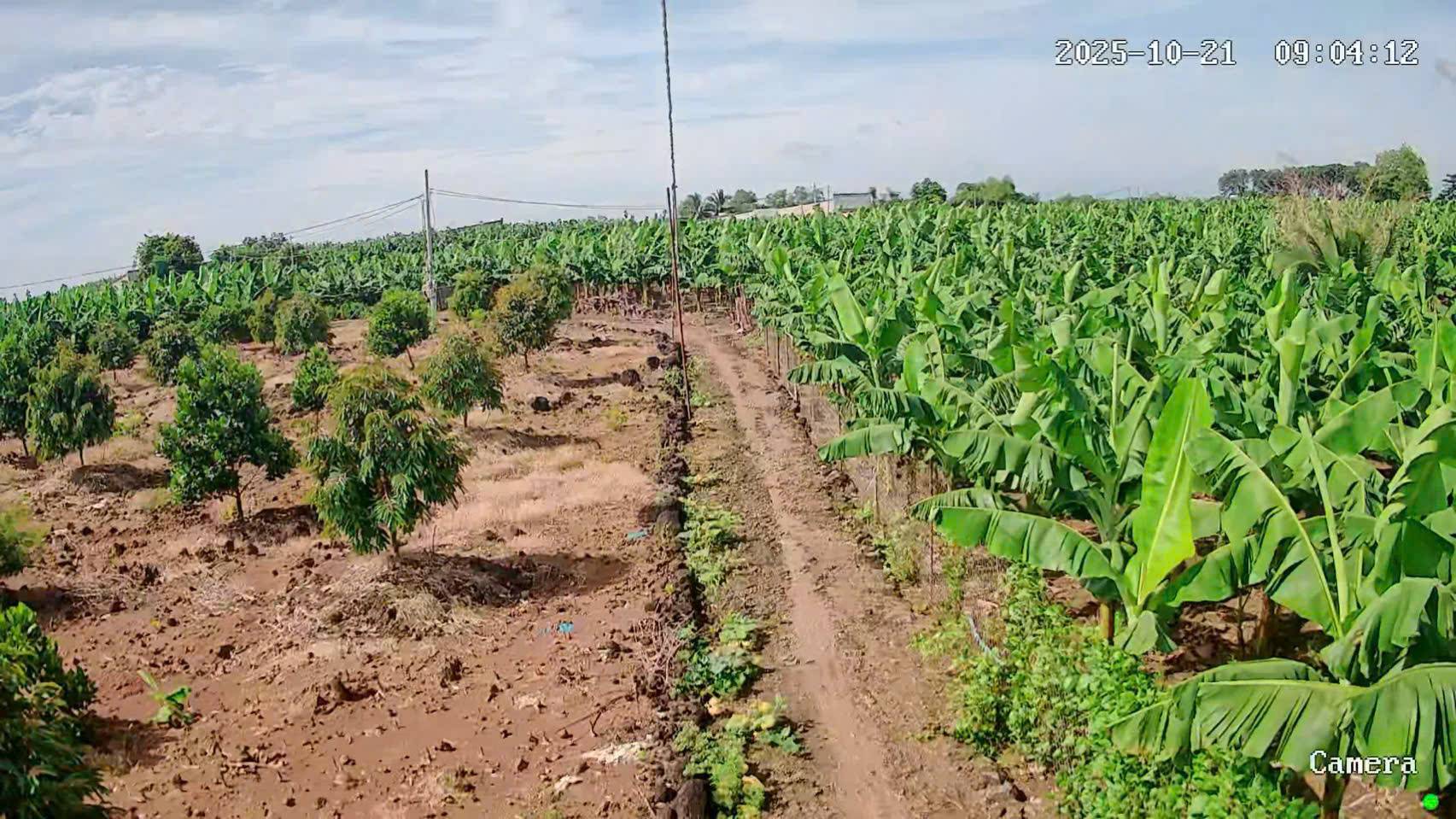 Camera solar 4G giám sát ao tôm – ao cá